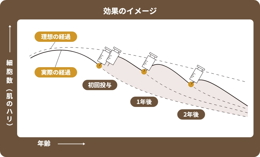 効果のイメージ図