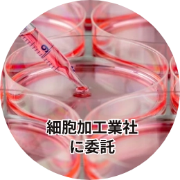 細胞培養