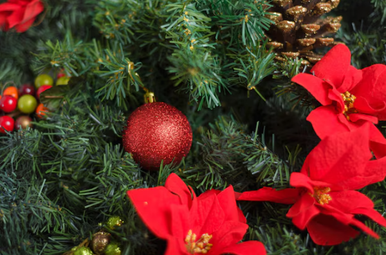 もうすぐクリスマス🎄今からでも美肌になれる施術のご紹介