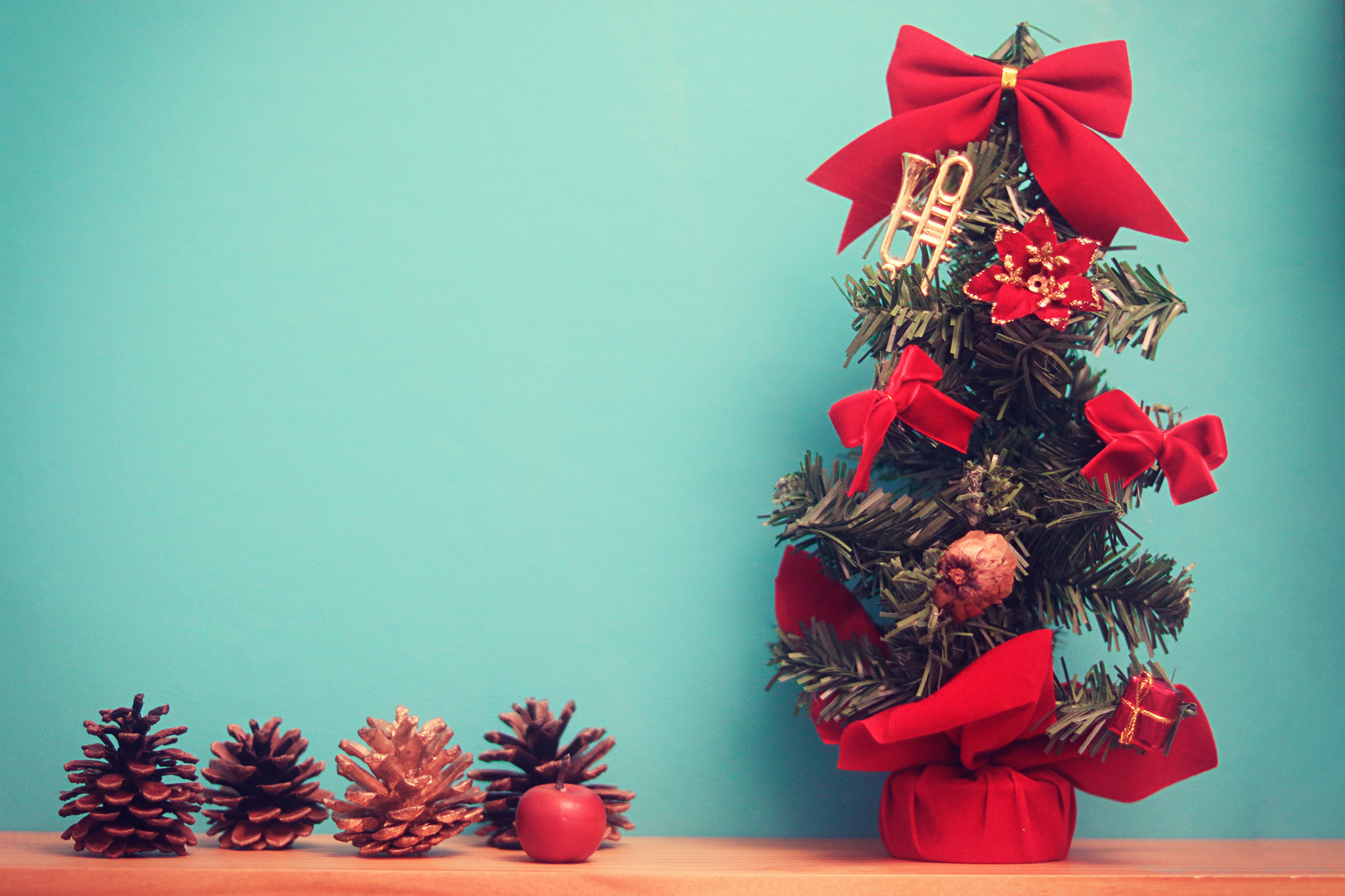 🎄 Christmas Campaing 2024🎁